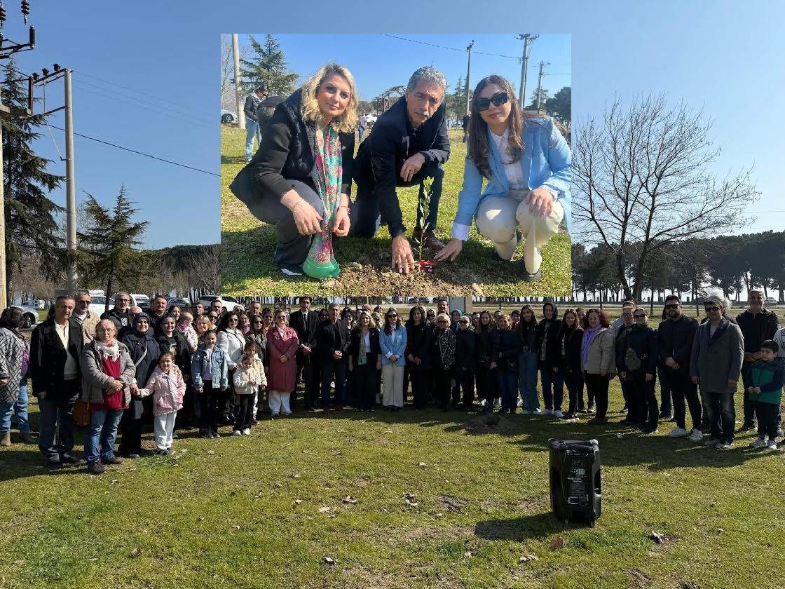 CHP Orhangazi İlçe başkanlığı 8 Mart Yaşamak için kök salıyoruz fidan dikme etkinliği düzenledi