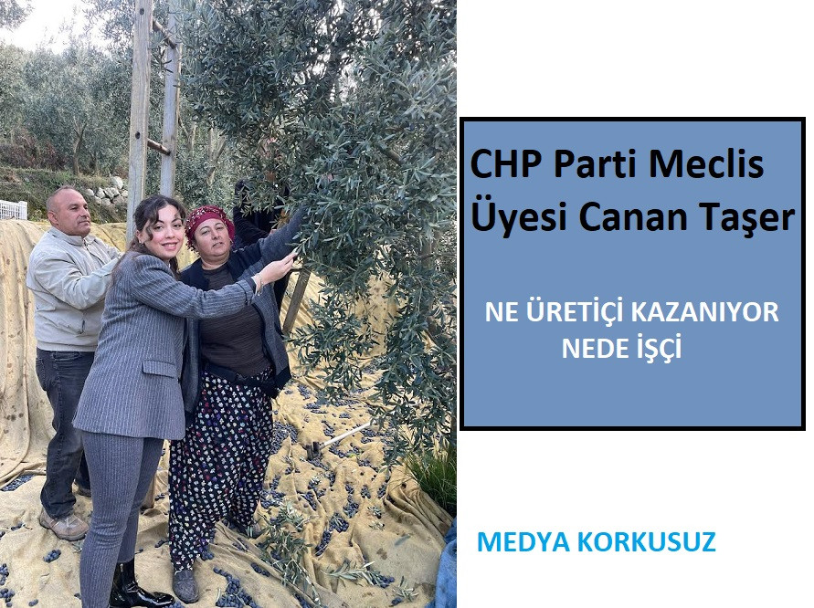 CHP Parti Meclis Üyesi Canan Taşer “Ne Üretici Kazanıyor, Ne İşçi!”